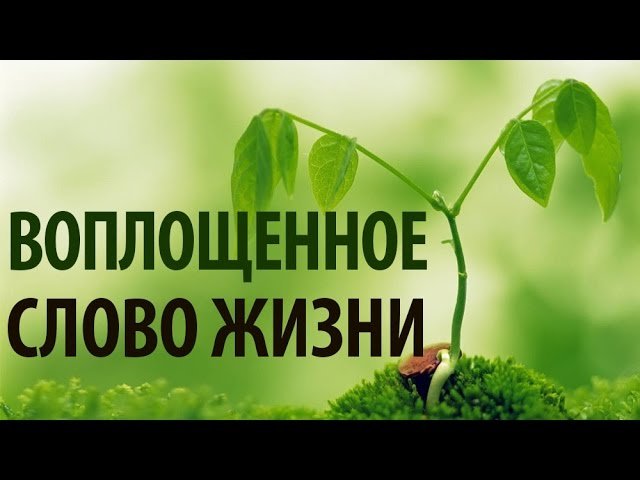 Воплощенное Слово Жизни - Виталий Корчевский | BlagoTube - христианский видеопортал