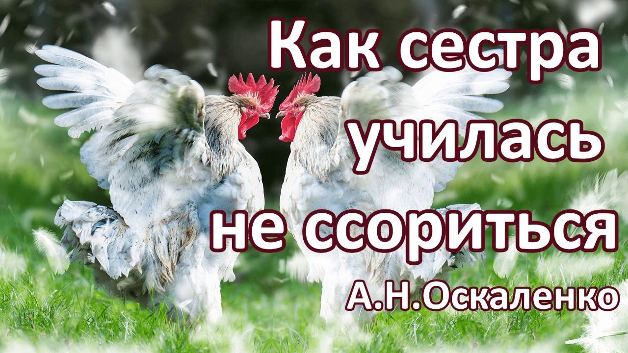 Как сестра училась не ссориться. А.Н. Оскаленко. Пример из проповеди. МСЦ  ЕХБ