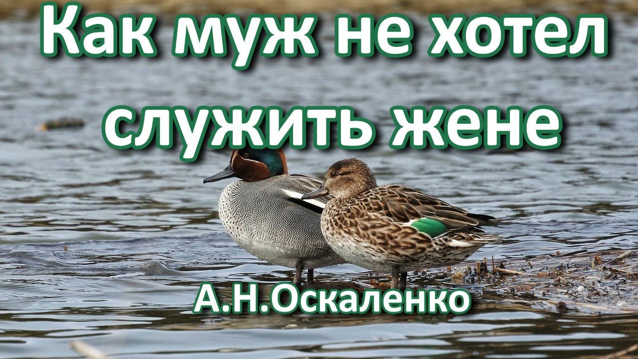 Как муж не хотел служить жене. А. Н. Оскаленко. Пример из проповеди. МСЦ ЕХБ