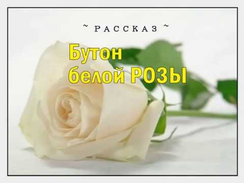 Бутон белой розы ~ Христианский РАССКАЗ ~