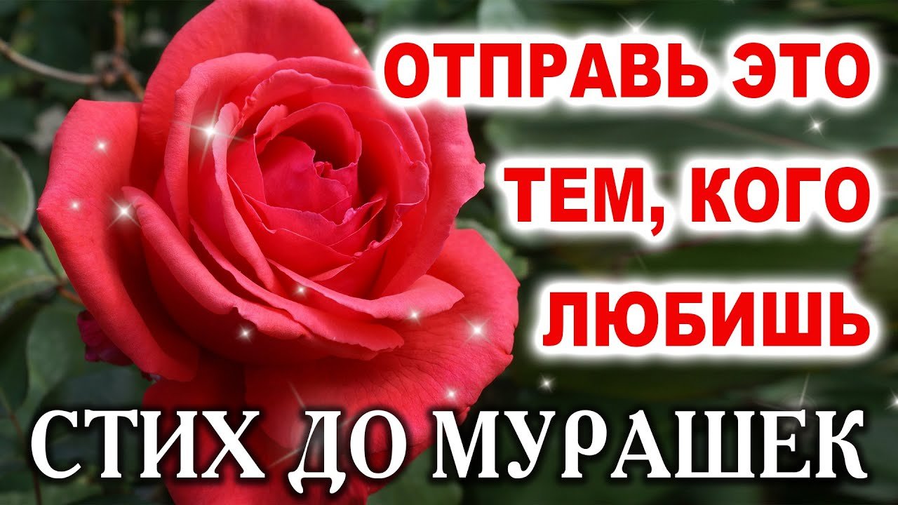 Притча о доброте (В одном провинциальном городочке) - стих