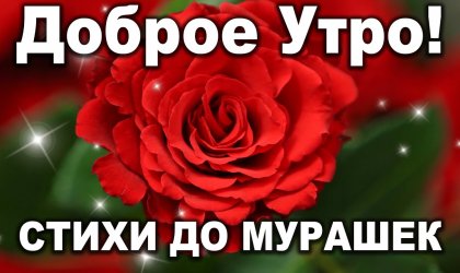 Молодость и мудрость сели на скамейку